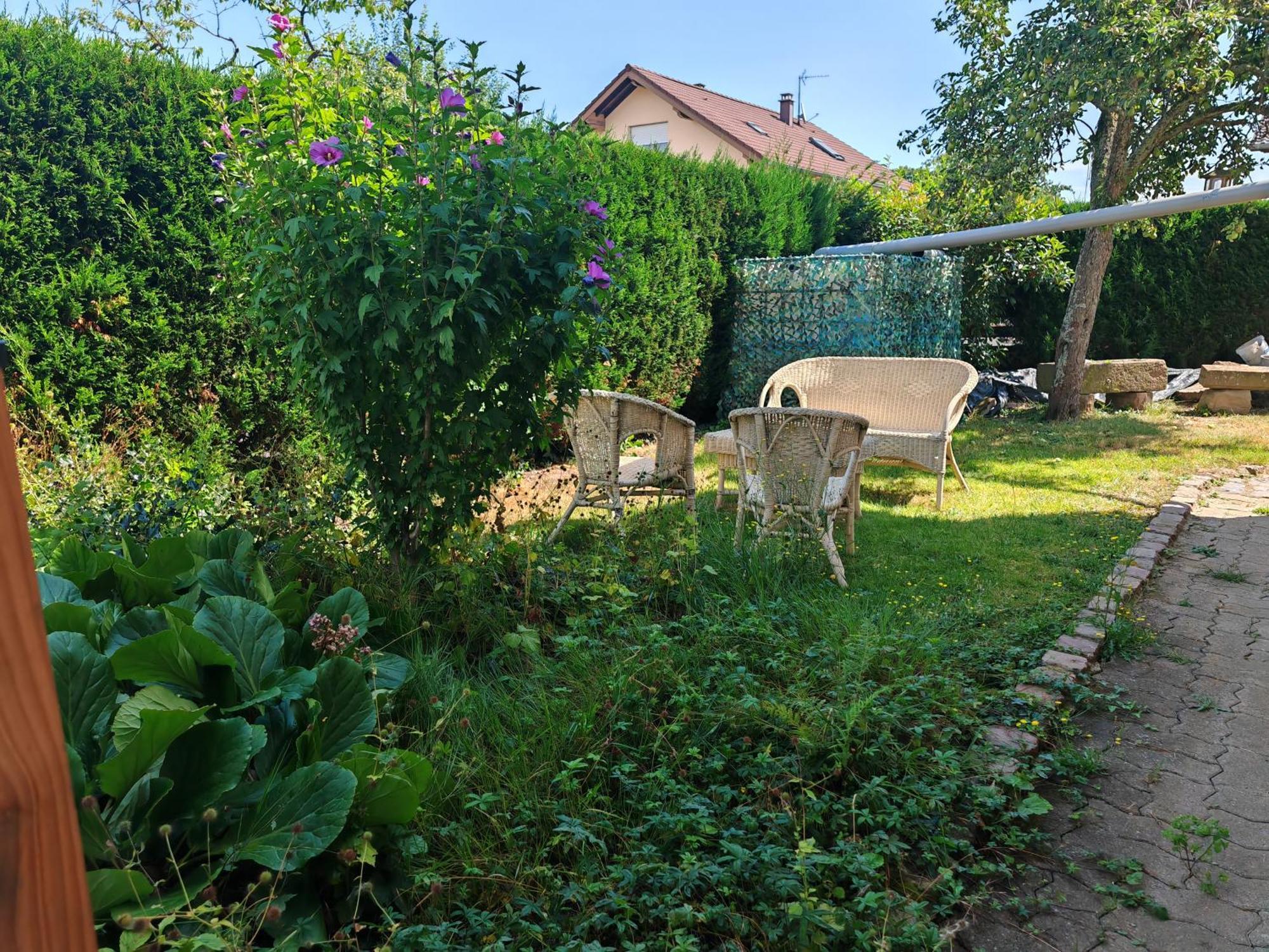 Appartement " Le Chardonneret " Issenheim ภายนอก รูปภาพ